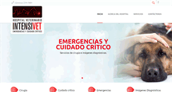 Desktop Screenshot of hospitalintensivet.com